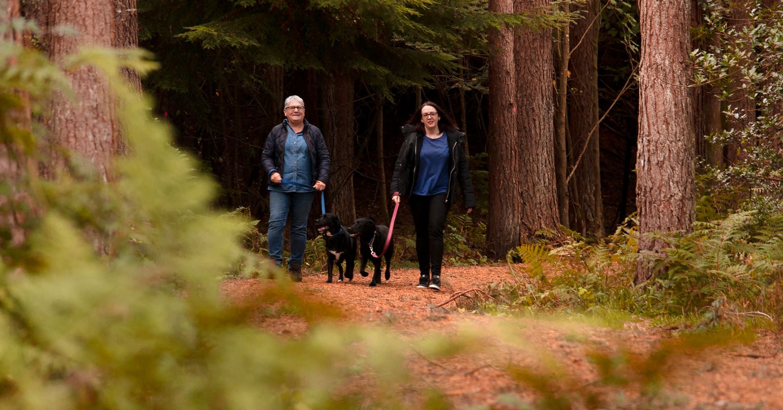 two women walking two black dogs in Hamsterley Forest